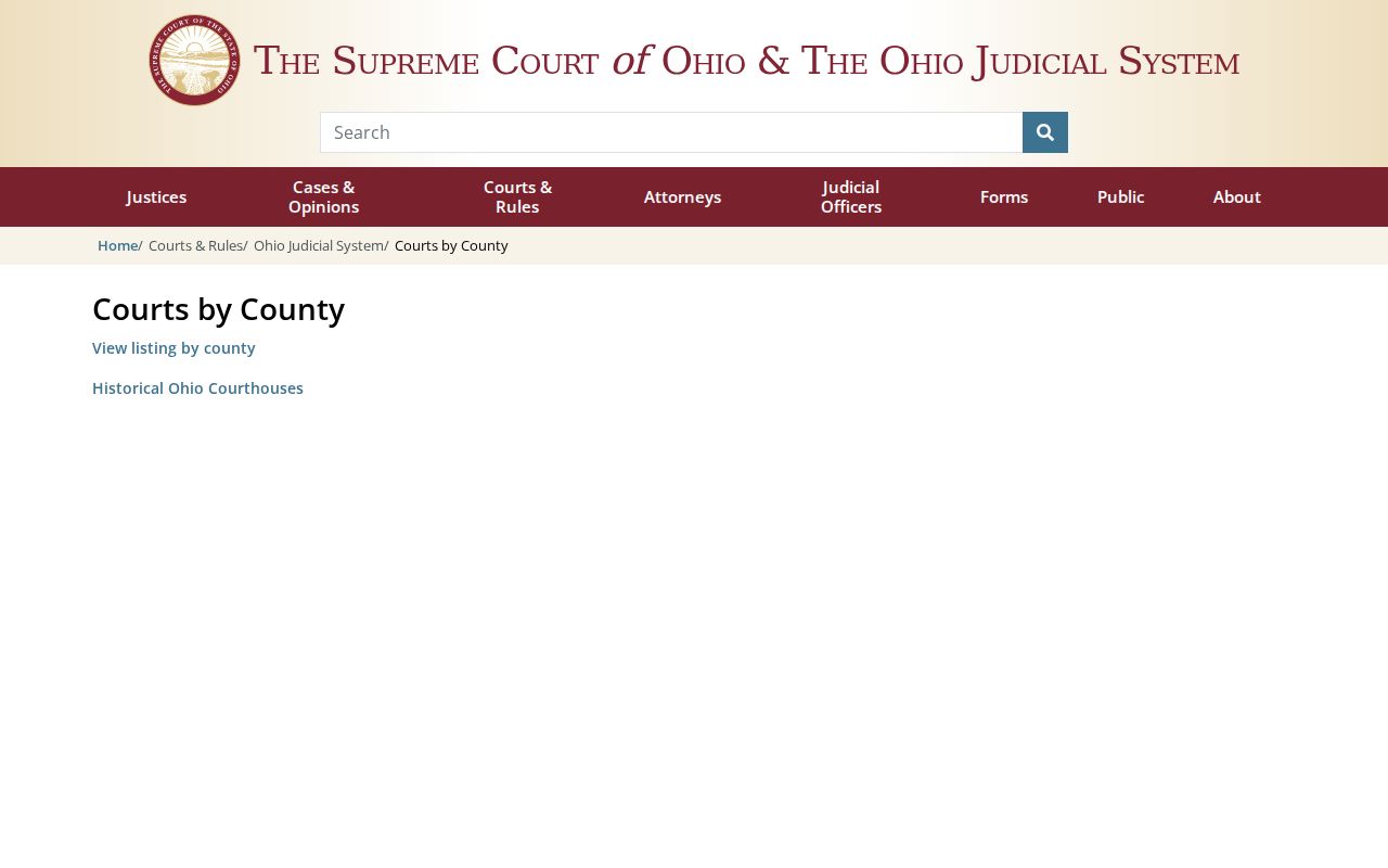 Trumbull County court docket Ohio trial court directory